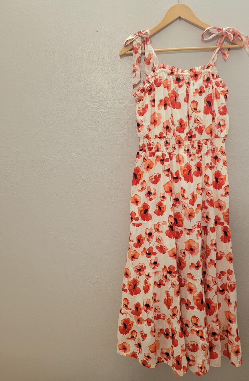 Enchanted Garden/Poppy Lovers Maxie Dress